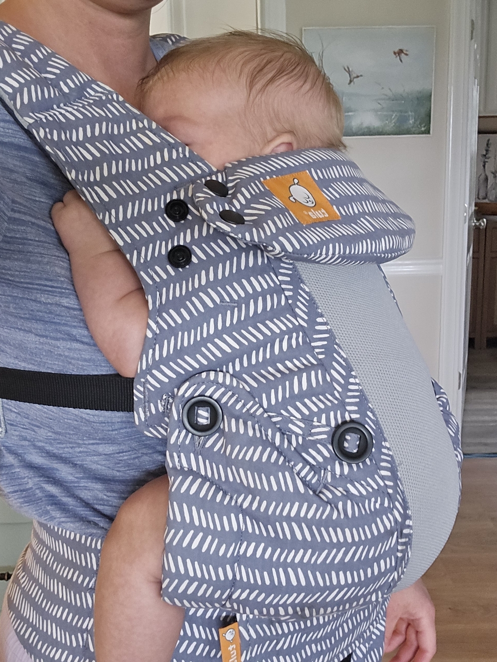 Tula Blue and White Patterned Mesh Carrier